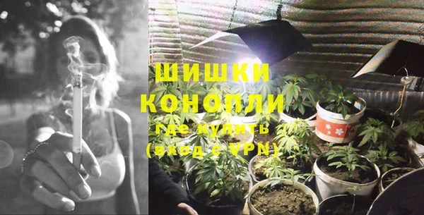 амф Осташков