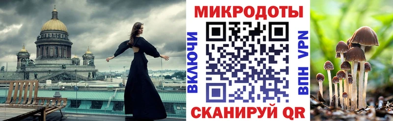 Псилоцибиновые грибы Psilocybe  Северобайкальск 